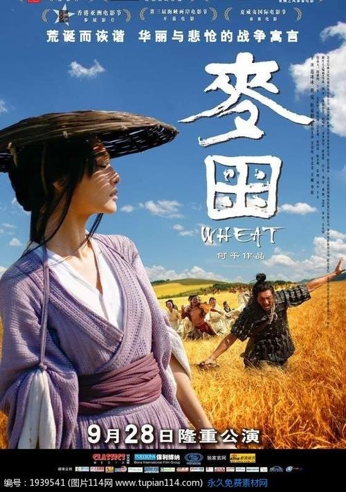 维思大学学位证
